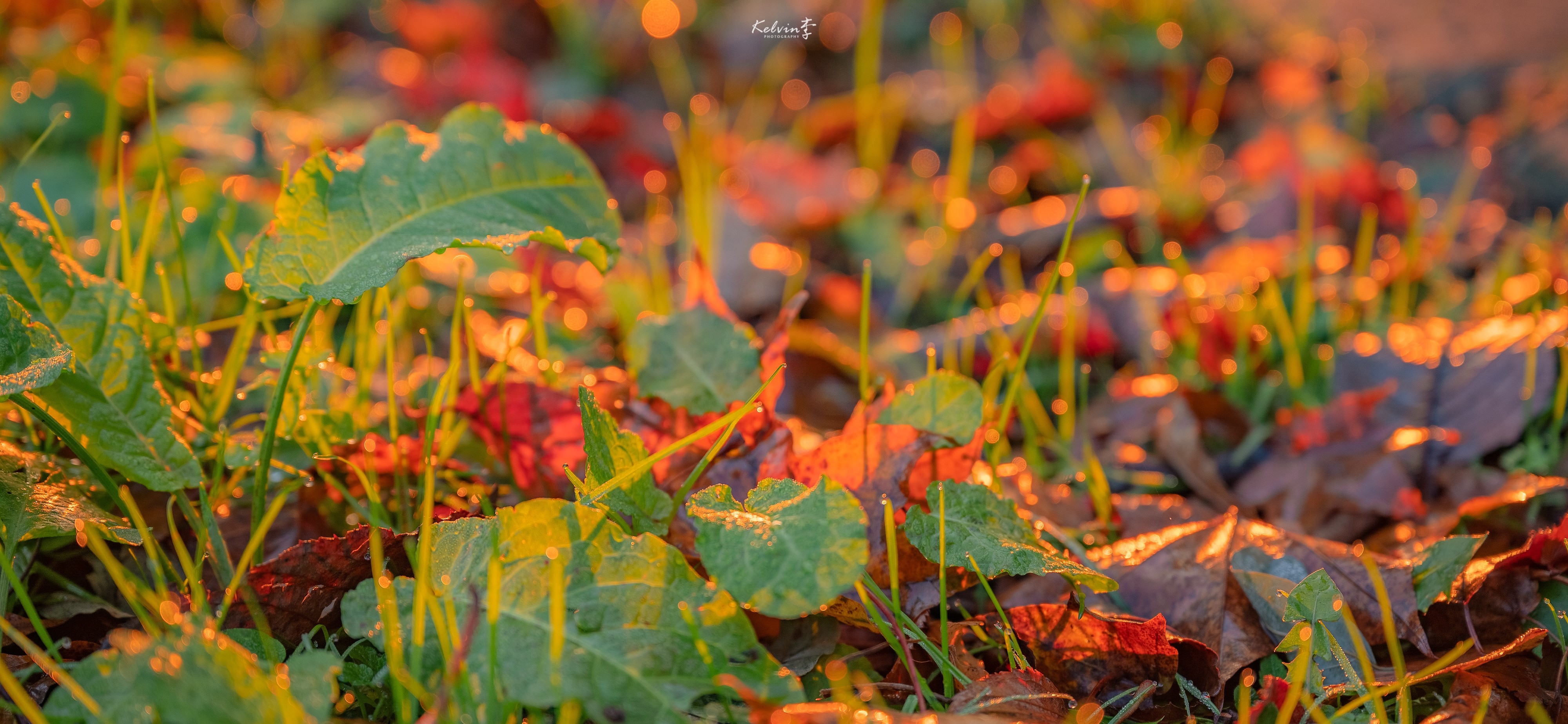 实习备案自动打卡